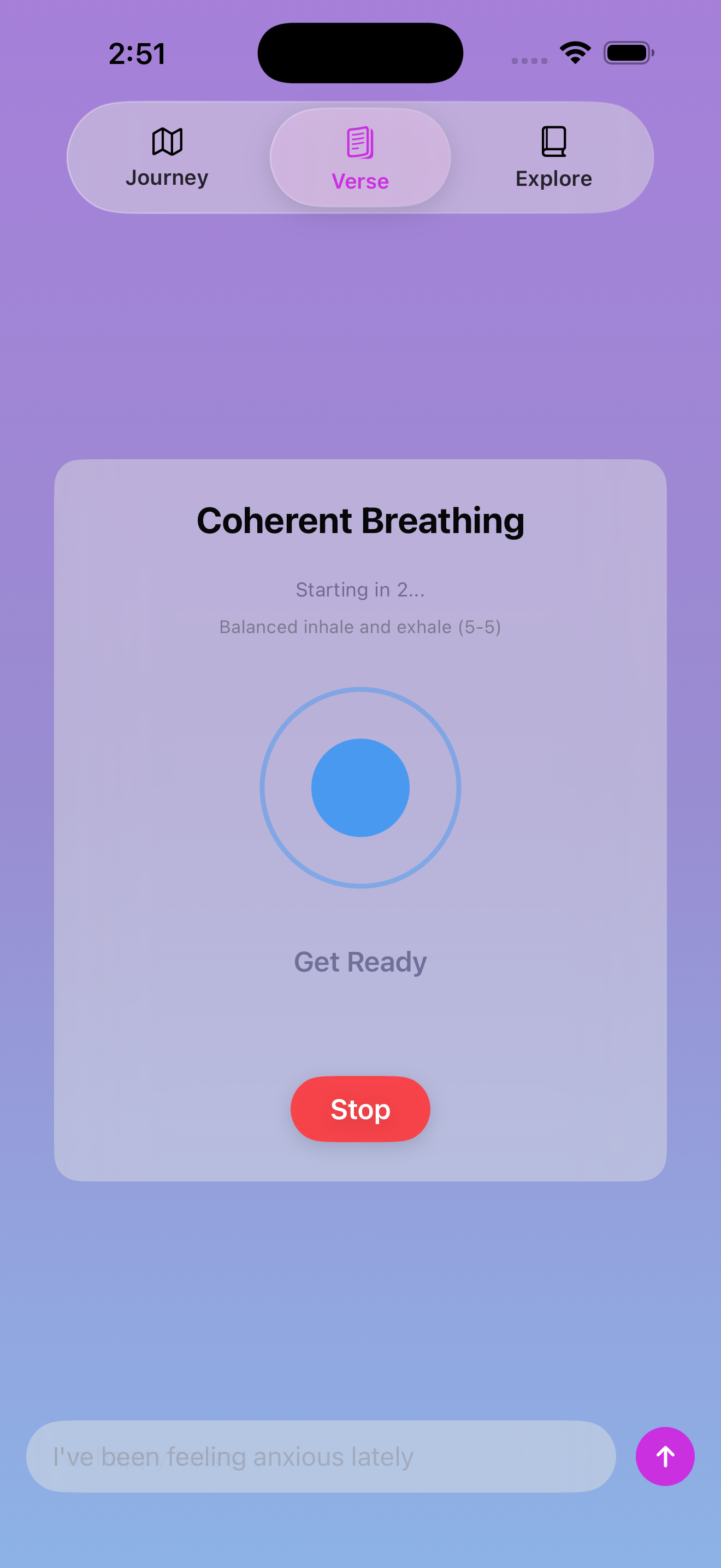 VibeVerse guided breathing screen with an extended exhale exercise